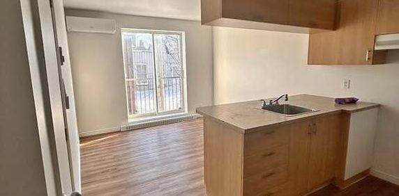 Spacieuses Unités De Studio Et 3 1/2 - Photo 2