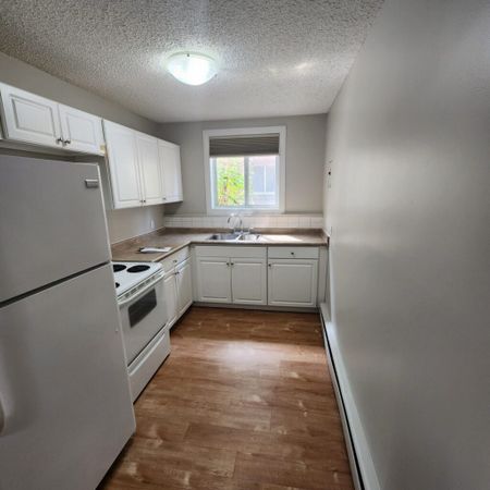 Main Floor 1 Bedroom Suite for Rent – 1530 Alexandra Street - Photo 3