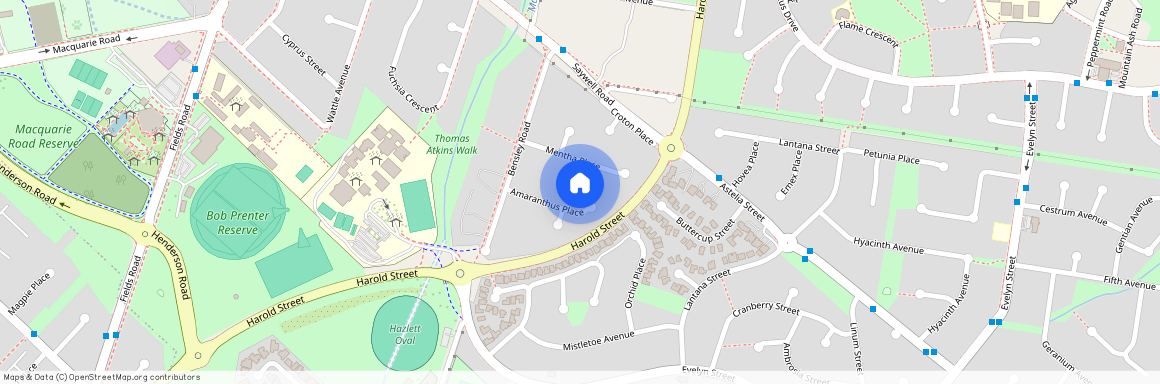 9 Amaranthus Place, NSW 2564, Macquarie Fields