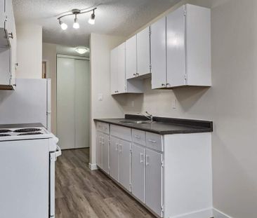 1 Bedroom - Photo 1
