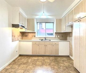 6227 Rue Desportes - Photo 5