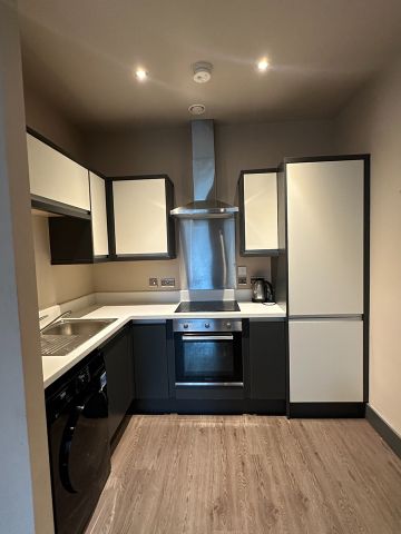 1 Bed Flat, Rumford Street, L2 - Photo 4