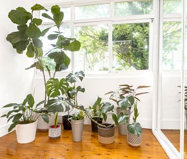 4/48 Surrey Street, Darlinghurst NSW 2010 - Apartment For Rent | Do... - Photo 1