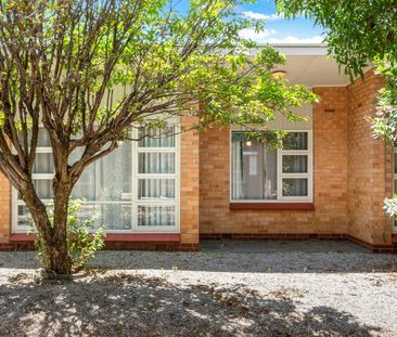 Bright, Comfortable Unit Living in Leafy Clarence Park - Photo 4