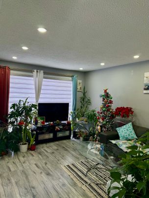 For Lease - 42 Ardglen Drive, Brampton, Ontario - Photo 1