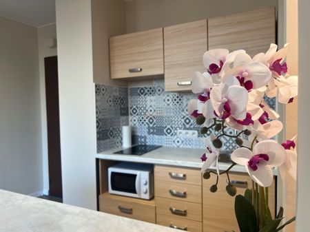 Kawalerka na wynajem w dobrej lokalizacji - Zdjęcie 3