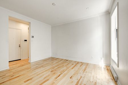 Condo for rent, Montréal (Le Plateau-Mont-Royal) - Photo 4