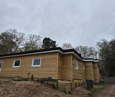 3 bedroom property to rent - Photo 4