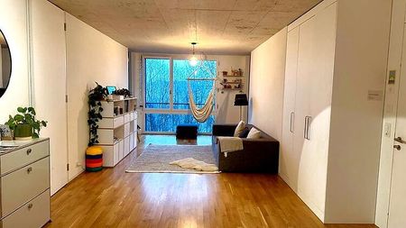 3½ Zimmer-Wohnung in Bern - Felsenau/Tiefenau, möbliert, auf Zeit - Photo 4