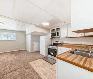 MOVE IN BONUS! Get a $200 Visa Gift Card! Modern 2 Bed + Bath Lower... - Photo 1