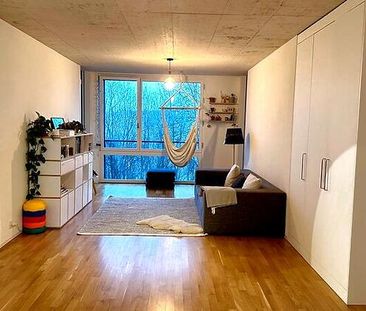 3½ Zimmer-Wohnung in Bern - Felsenau/Tiefenau, möbliert, auf Zeit - Photo 4