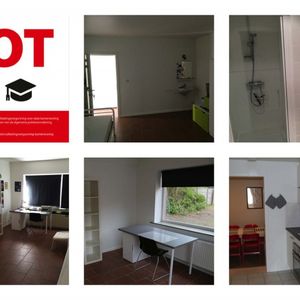 't Hoge 80 - Photo 2