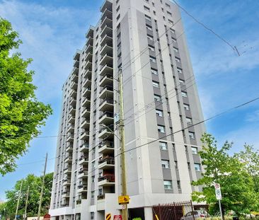 The Lamplighter - Photo 6