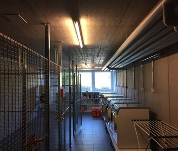 Modern wohnen an ruhiger Lage - Foto 5