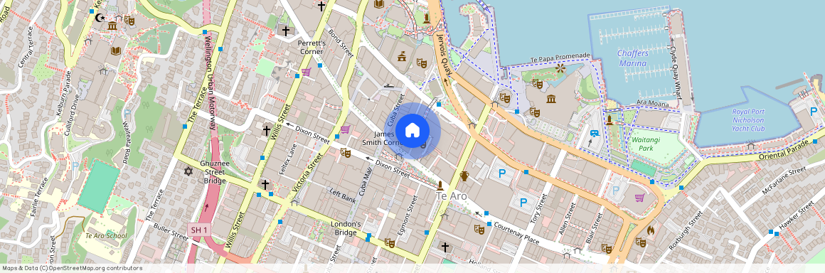 107 Manners Street, Te Aro, Wellington City