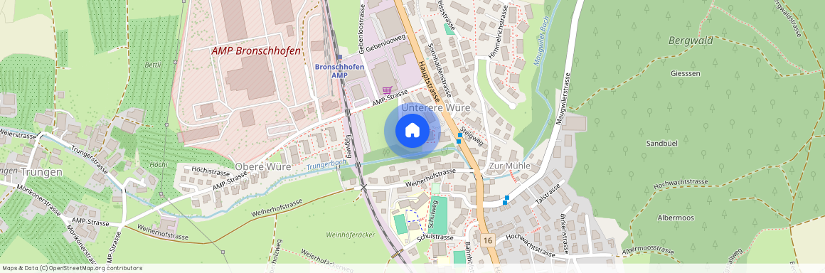 In der Würe 2a, 9552, Bronschhofen