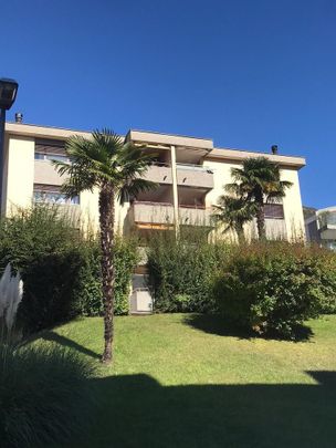 Affittasi ampio e luminoso appartamento di 4.5 locali a Minusio. - Foto 1
