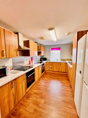 8 Bed Apartment - Single Bed - Photo 4