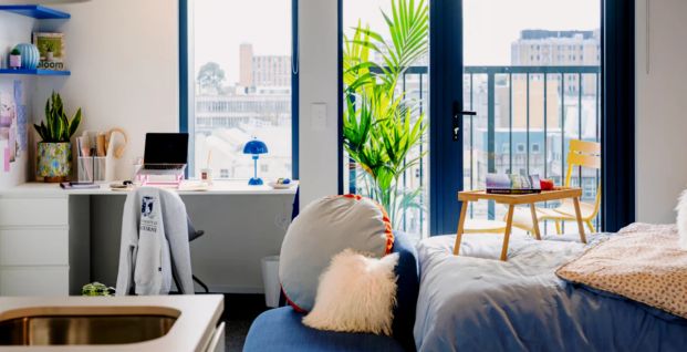 Ultra Studio(King Bed Standard View) - Photo 1