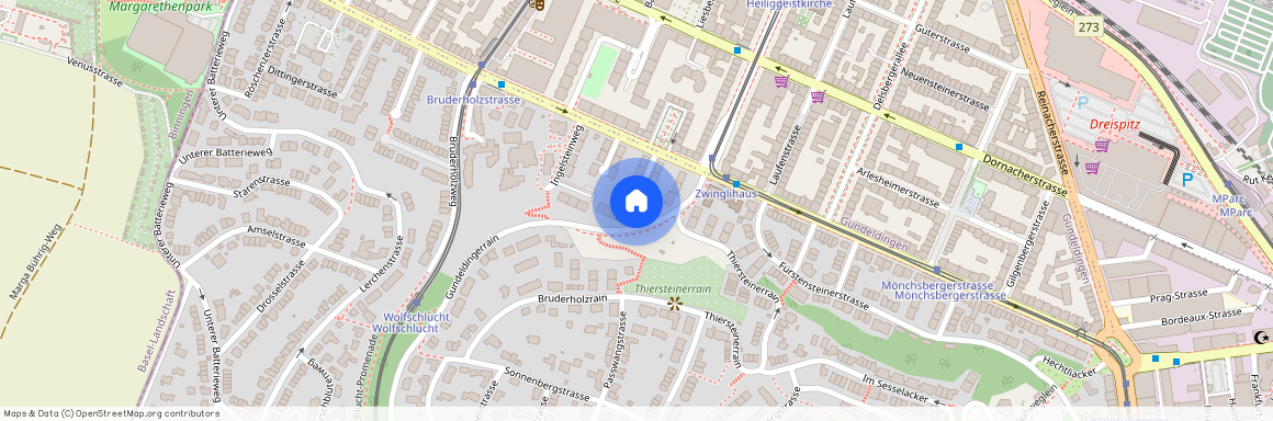 4053, Basel, Gundeldingerrain, 8