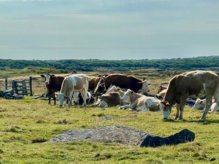 Kvarntorpsvägen, Ugglarp - Photo 5