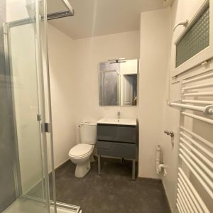 Location Appartement 1 pièce 22m² CASTRES 81100 - Photo 3