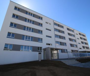 Tolles 3.5-Zimmer-Apartment - Photo 2