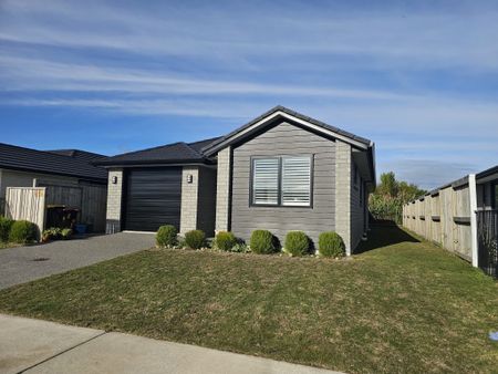 Home On Hills View - Papamoa - Photo 5