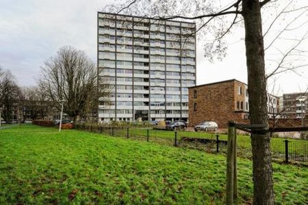 Roggekamp 2592 VT 's-Gravenhage - Photo 3