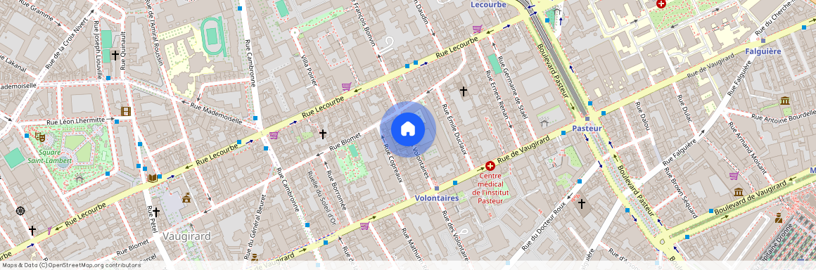 Rue des Volontaires, 75015, Paris