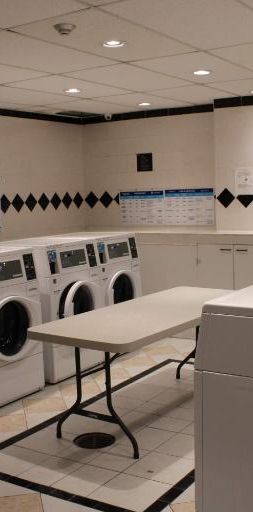 Studio - Westmount - $1,300 /mo - Photo 1