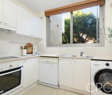 Sunny Updated Two Bedroom Apartment - Photo 6