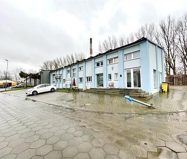 Mieszkanie Wynajem: Koszalin - Zdjęcie 6