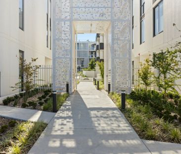 Modern Living with Private Courtyard in Babylon Rouse Hill - Photo 6