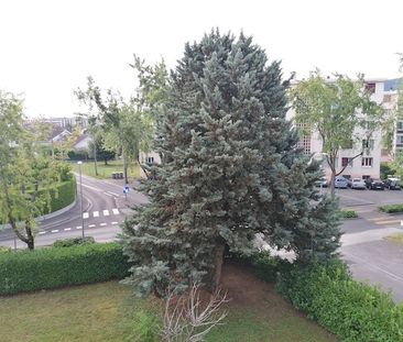 Location Appartement 2 pièces 43m² - Photo 1