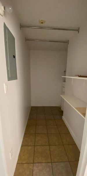 GRAND ET LUMINEUX 4.5 DISPONIBLE 1er FÉVRIER 2025 - Photo 1