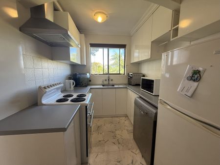 Queanbeyan Convenience - Photo 3