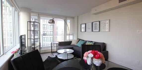 Bright, Spacious, Furnished 1 Bed 1 Bath Apartment Rental, Downtown - Photo 2