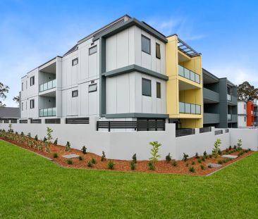 Stunning, Contemporary Two Bedroom Apartment's For Lease In Sought ... - Photo 3