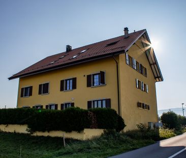 2.5 on the ground floor – Route de St-Denis 2, 1148 Chavannes-le-Ve... - Photo 5