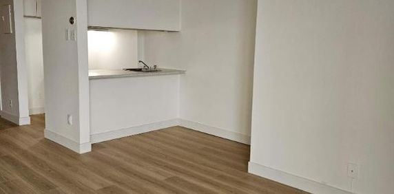 1 CH - 1 SDB - Montréal - $1,295 /mo - Photo 2