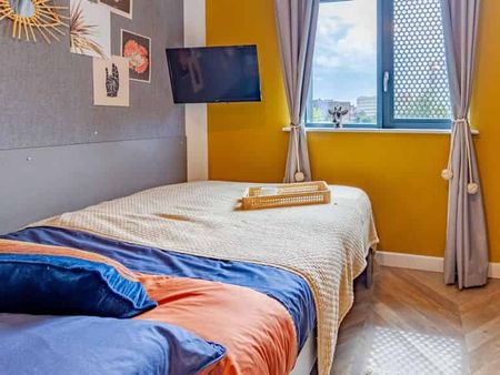 Classic Studio - Photo 5