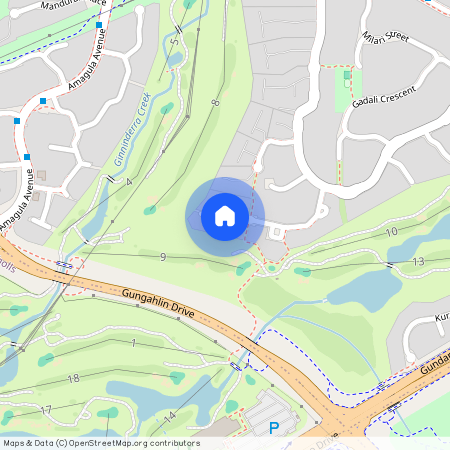 39 Burraly Court, Ngunnawal ACT 2913