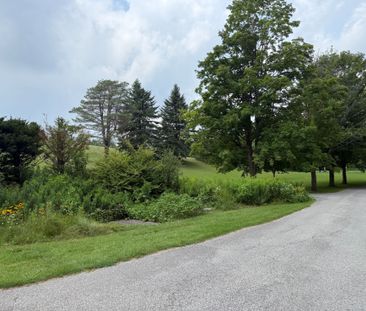 For Lease - 3325 Vandorf Side Road Unit# BSMT, Whitchurch-Stouffvil... - Photo 5