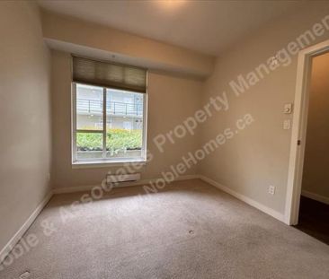 5248 Grimmer Street Unit 222 Burnaby - Photo 1