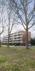 Twikkelstraat 4834 LL Breda - Foto 4