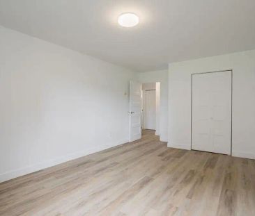 2705 MODUGNO — 4.5 - Photo 3