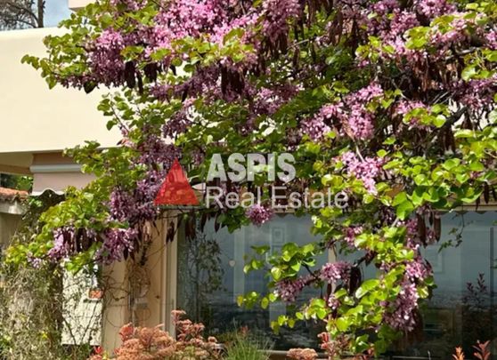Διαμέρισμα για ενοικίαση Κηφισιά - Φωτογραφία 1