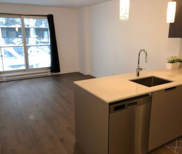 101 Rue Peel, Montréal (Le Sud-Ouest), QC H3C - Photo 1