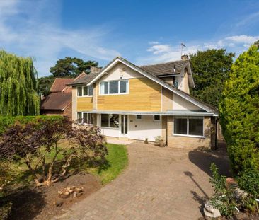 4 bedroom detached house to rent - Photo 6